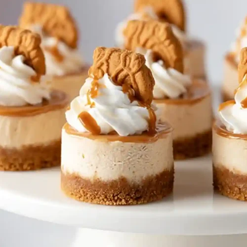 Mini Biscoff Cheesecakes