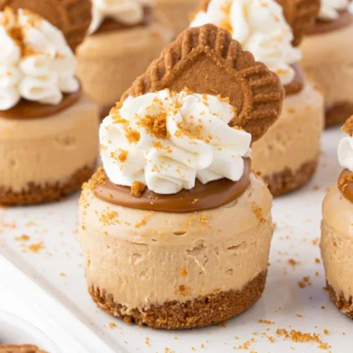 Delicious mini Biscoff cheesecakes with graham cracker crust and Biscoff topping