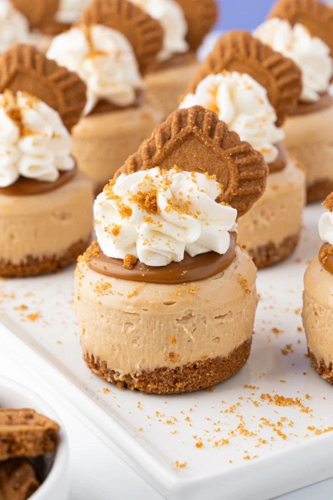 Delicious mini Biscoff cheesecakes with graham cracker crust and Biscoff topping