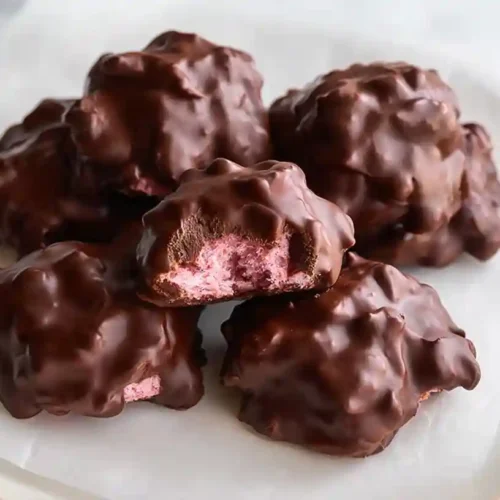 Chocolate Strawberry Yogurt Clusters Recipe